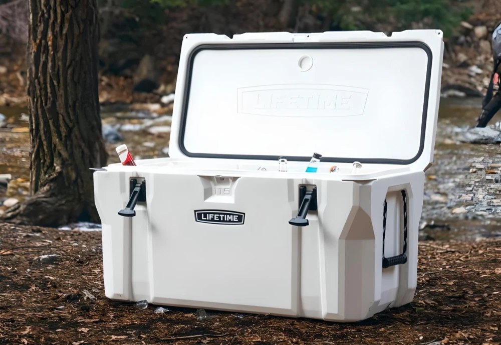 portable cooler box for car