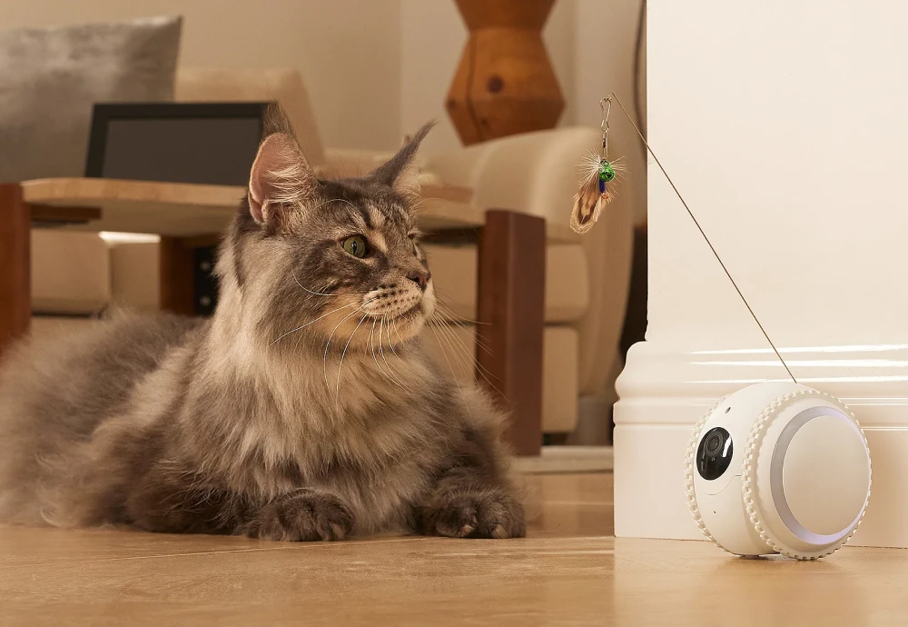 pet cameras for home