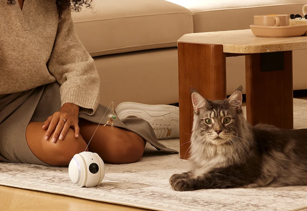 wireless home pet camera