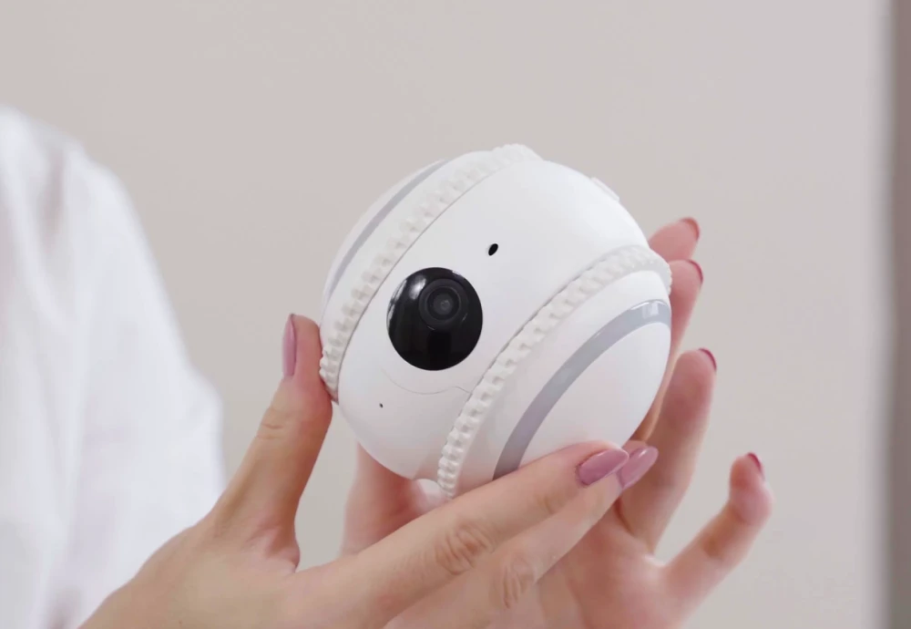 pet camera robot