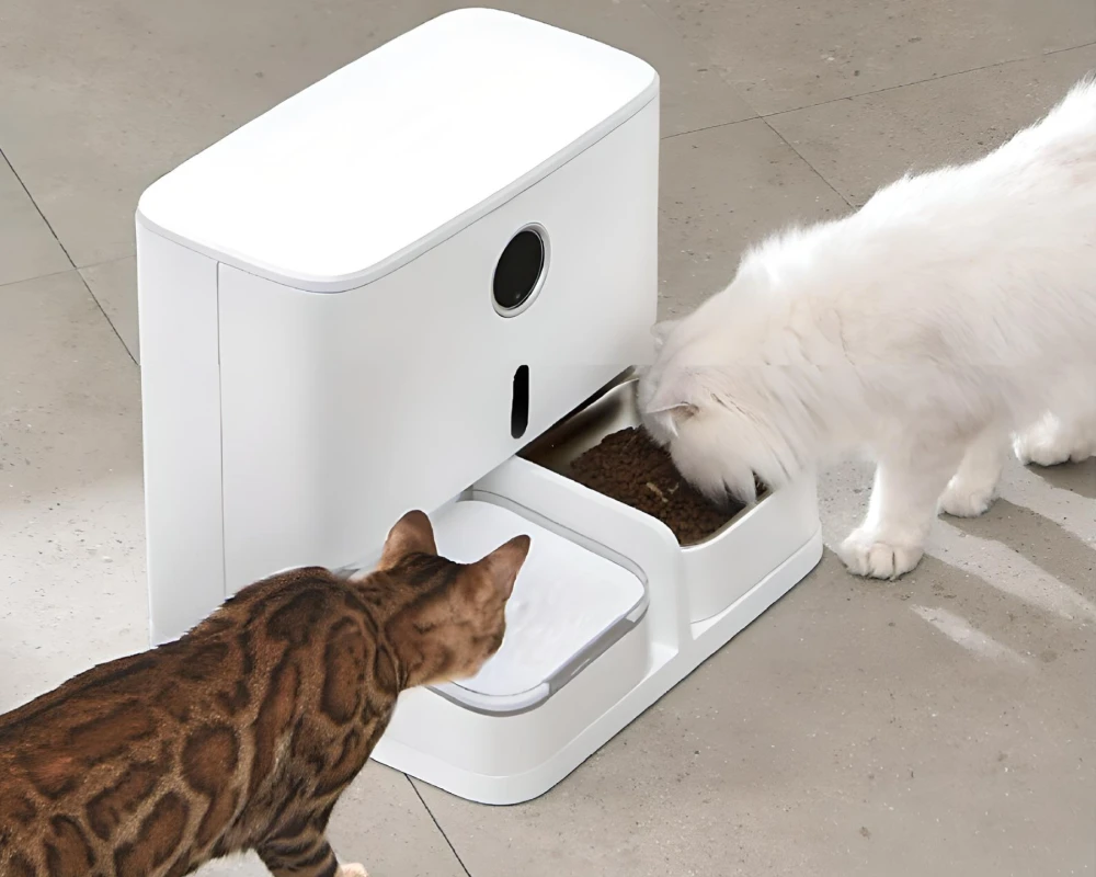 smart pet feeder with camera