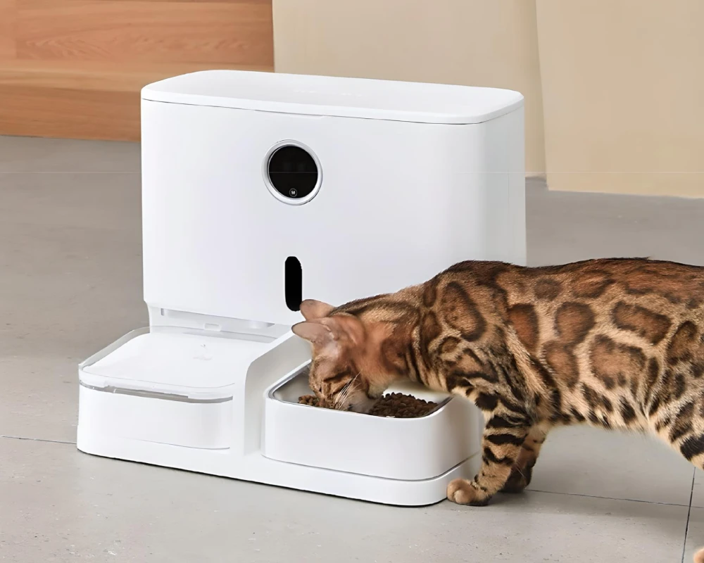 automatic pet feeder multiple cats