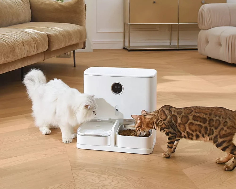 the best automatic pet feeder