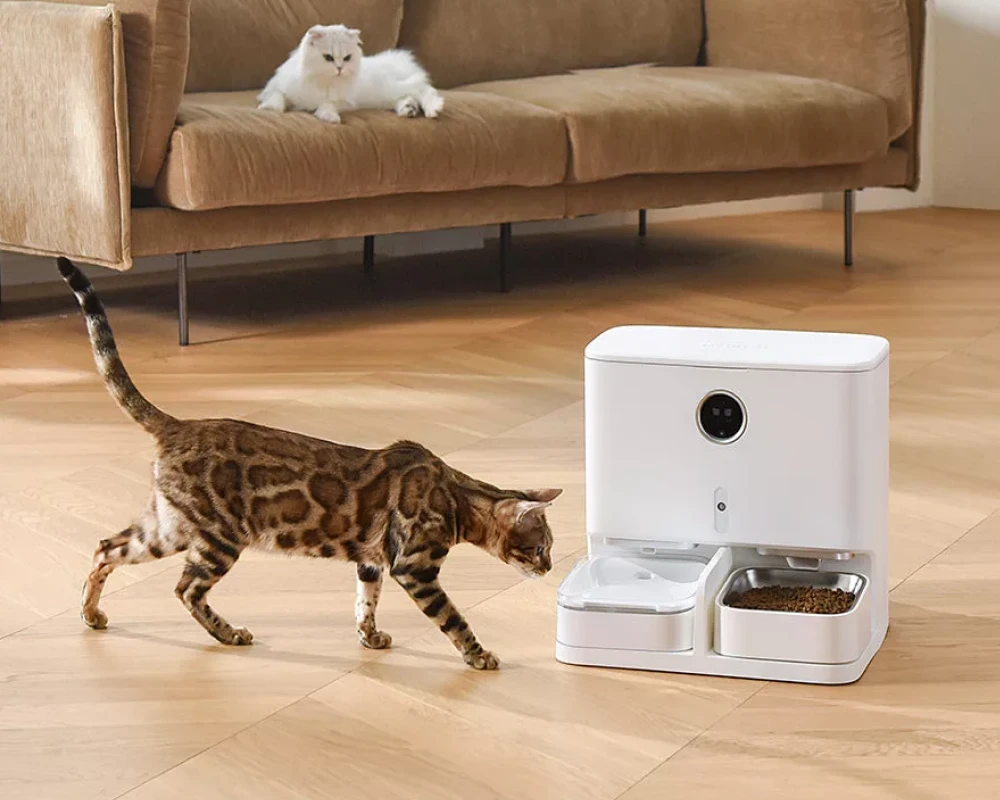 automatic cat feeder with camera