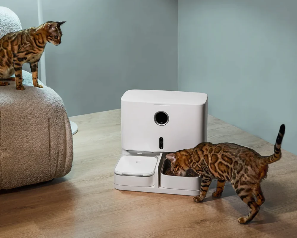 automatic pet feeder food dispenser